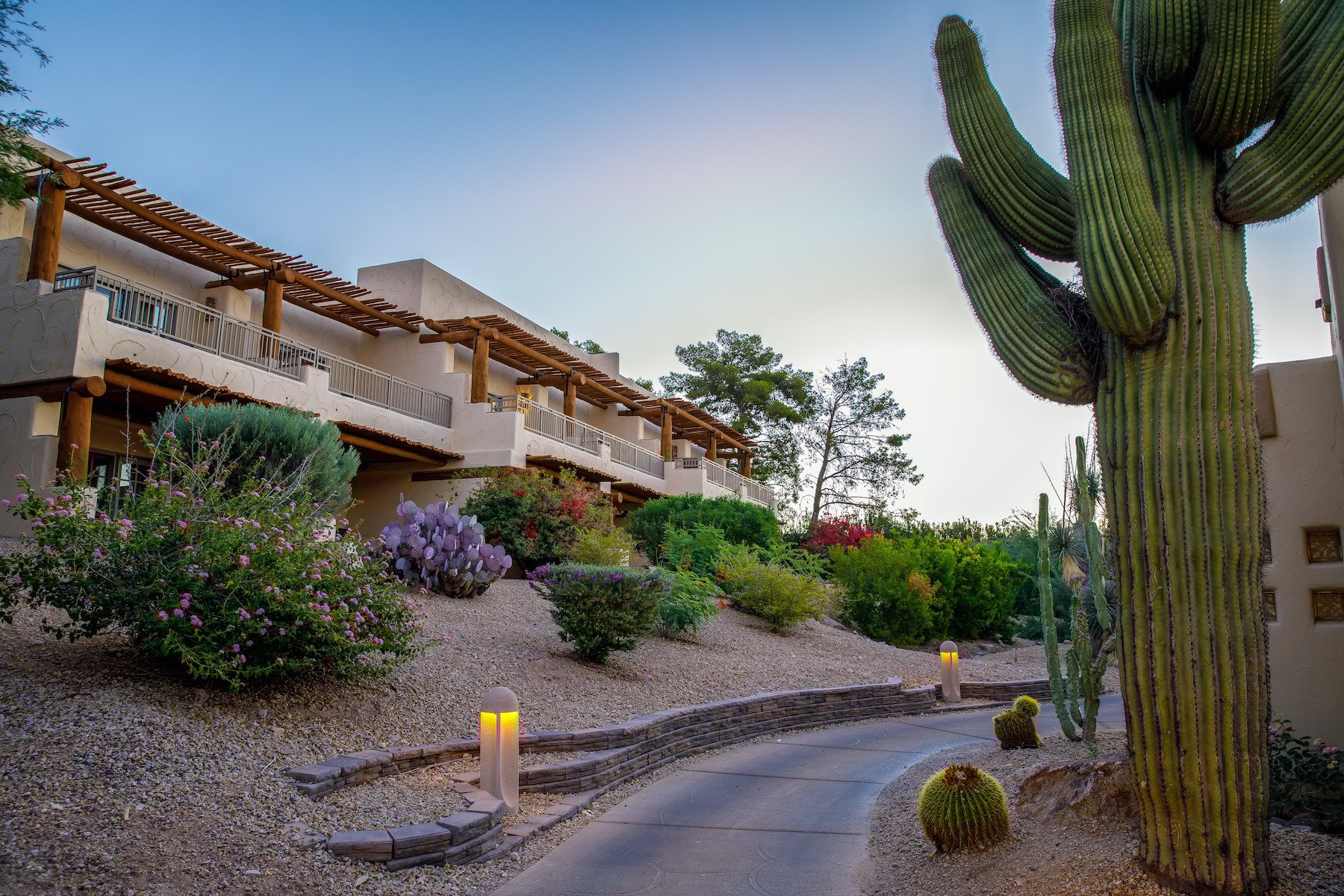 A Review of the Best HOA Landscaping Companies in Phoenix